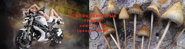 первитин Абинск